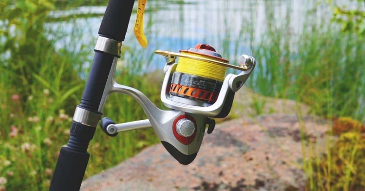 Spinning Reel for bass