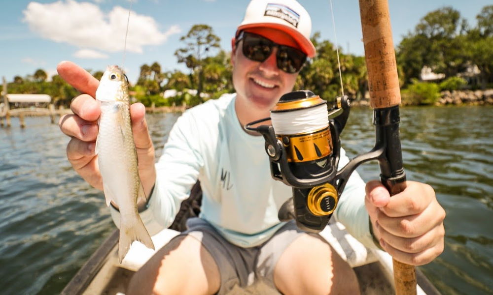 fishing reel for snook
