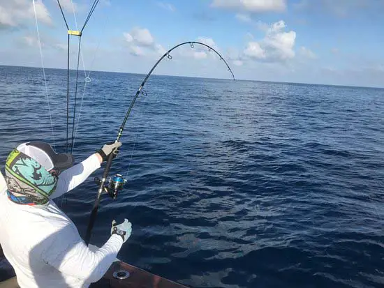 How To Choose Fishing Rod For Snook - Fishing Hacking Skill