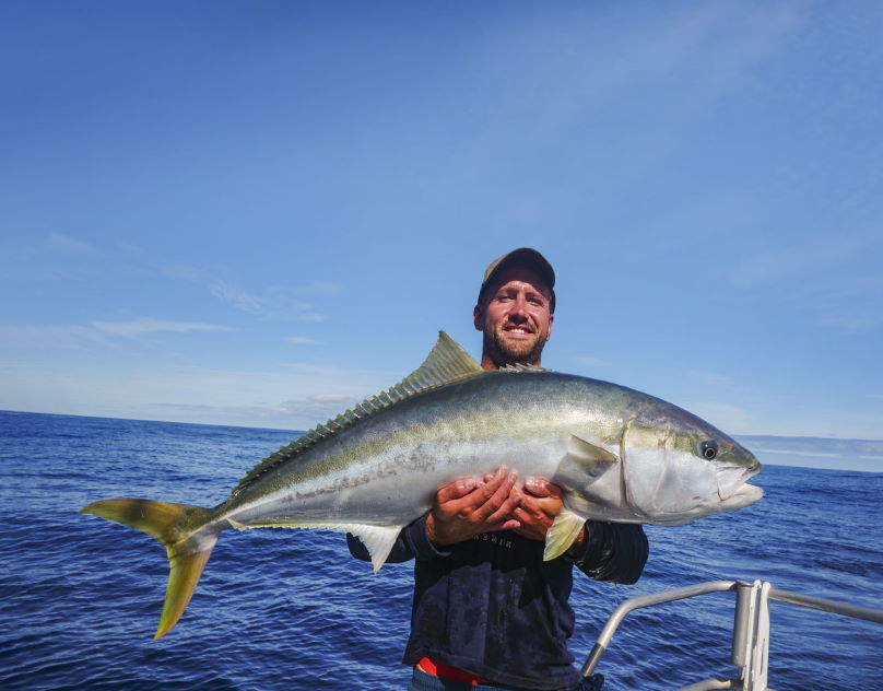 How To Catch Kingfish