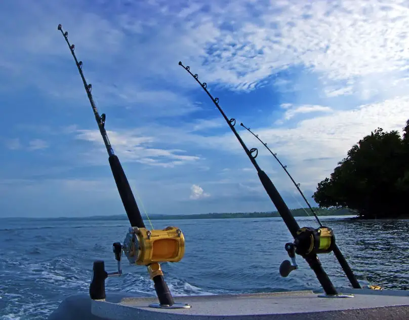 fishing rod for kingfish