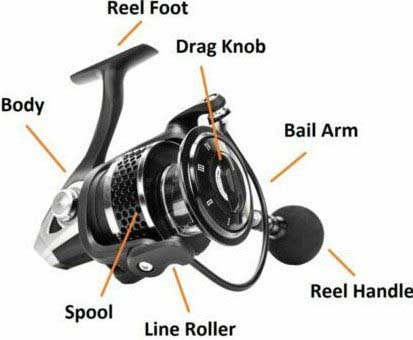 parts-and-mechanics-of-a-spinning-reel