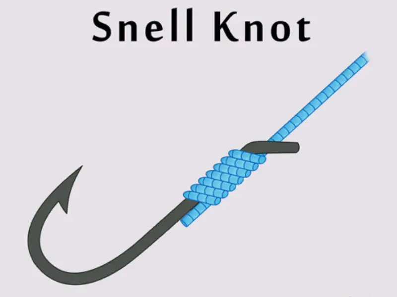 snell-knot