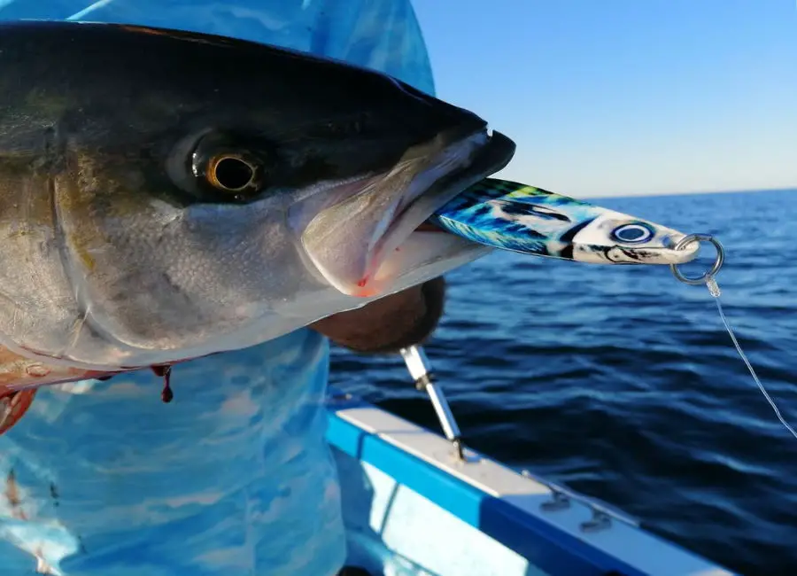 Best Yellowfin Tuna Fishing Lures