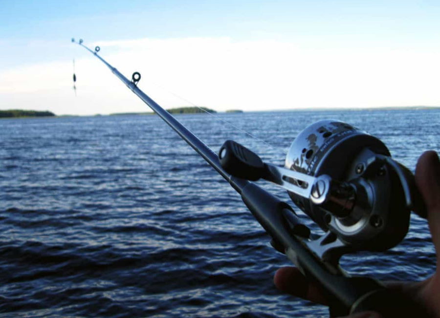 Choose Fishing Rod For Cobia