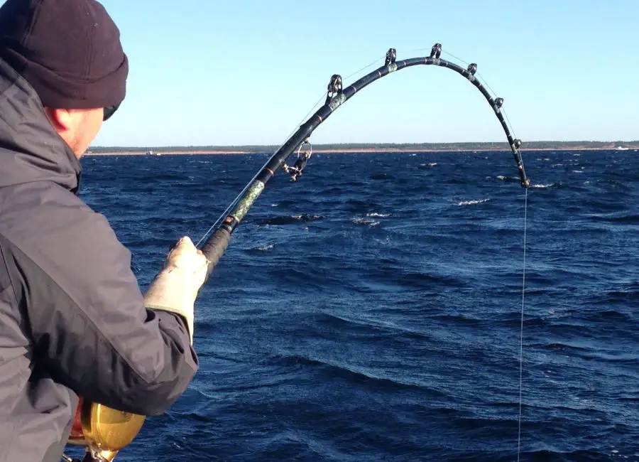 Fishing Rod For Yellowfin Tuna