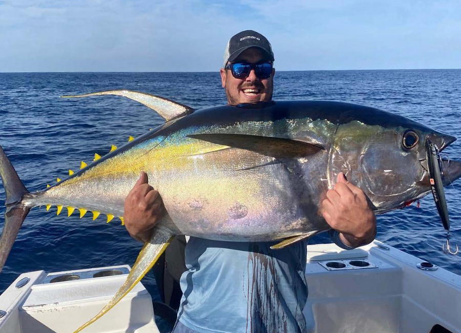 bait for yellowfin-tuna