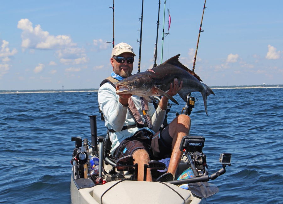 fishing rod for cobia