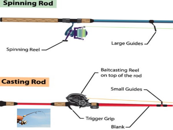 spinning-and-baitcasting-rods