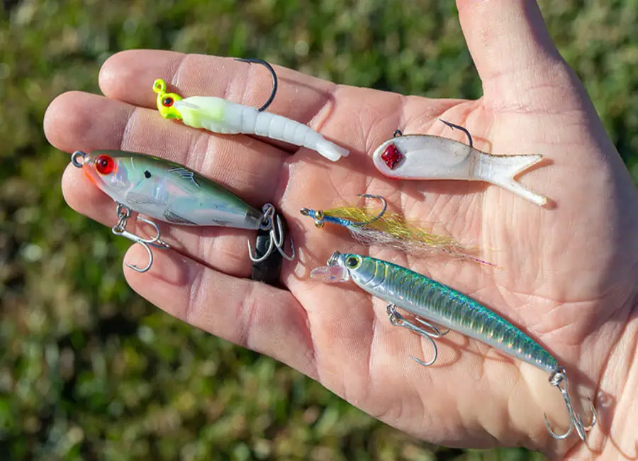 Fishing Lures For Jack Crevalle