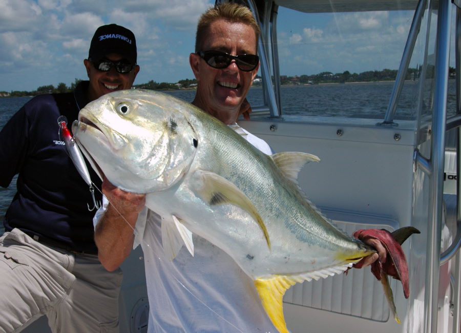 Perfect Bait For Jack Crevalle