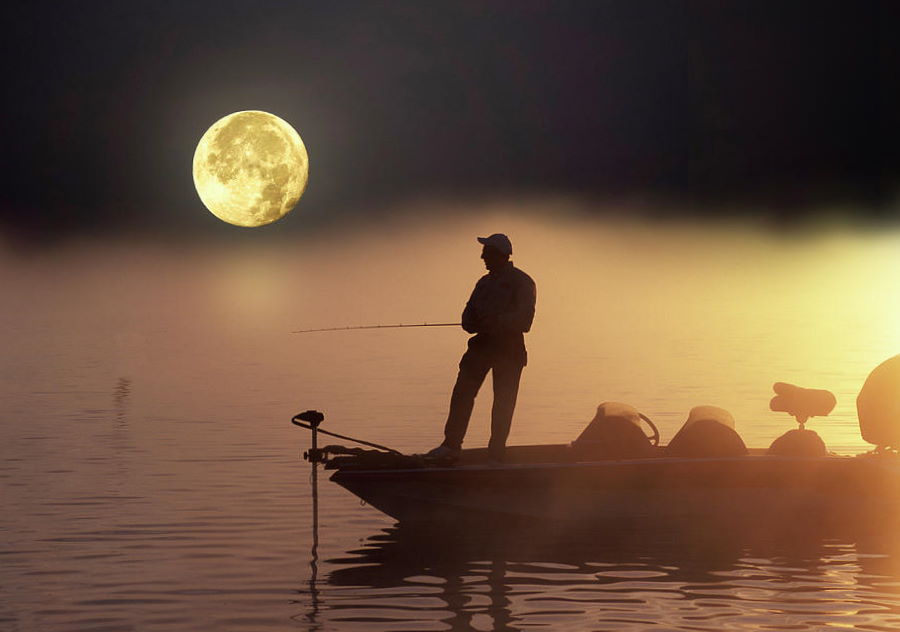 bass-fishing-under-a-full-moon