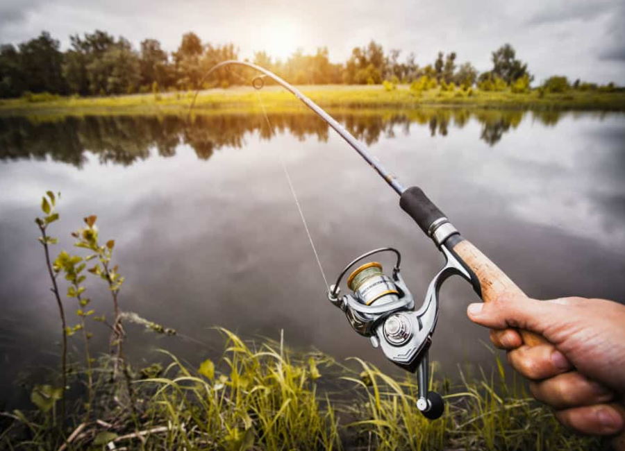 How To Choose Fishing Reel For Tripletail