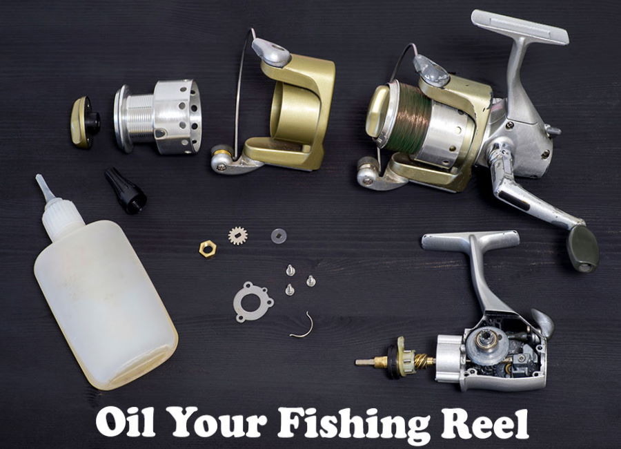 how-to-oil-your-reel