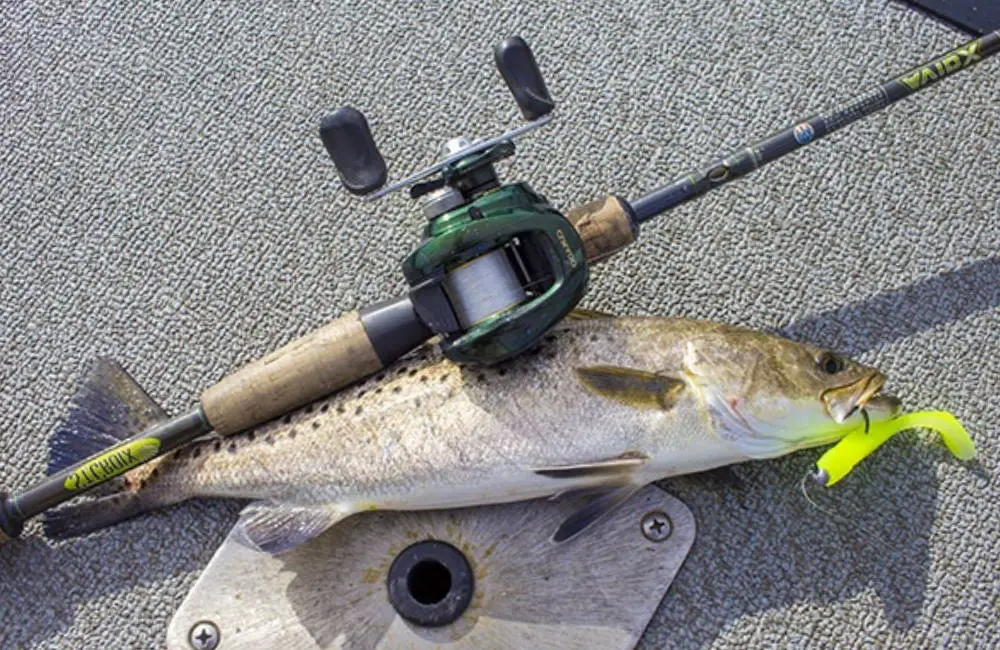 Choose Fishing Rod For Speckled Trout