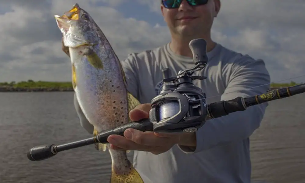 Fishing Rod For Speckled Trout