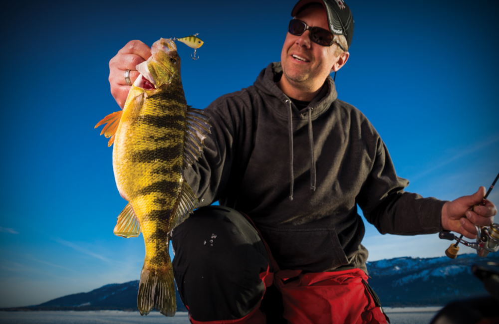 best-baits-for-ice-fishing-perch