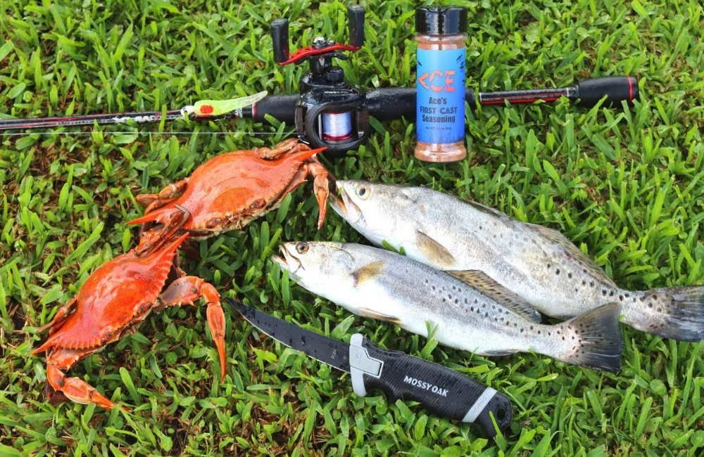 Crabs For Speckled Trout