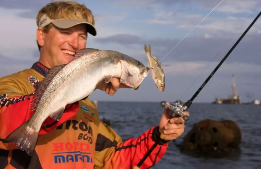 Fishing Bait For Speckled Trout